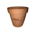 Mini Plant Kit with Flower Seeds and 3" Clay Pot